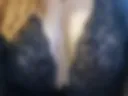 Xxx