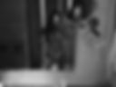 For Timurrr🐾🐾