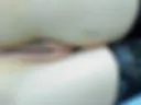 pussy