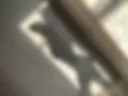 Mi