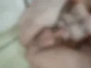 ))))) 