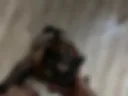 Hot pussy