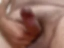 Cock