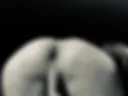 Xlll