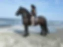 On the beach at the sea riding a horse