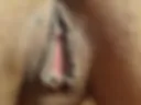 pink pussy
