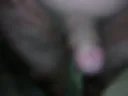 my cock