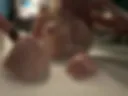 Nudes
