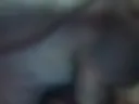 Sex