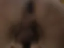 I sit on your face
