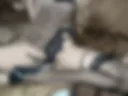 May in interesting camera angles
