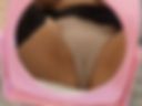 pussyyy