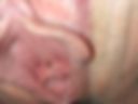 Pussy Maksin