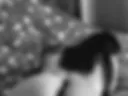 Ass