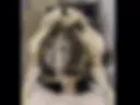 Альбом7