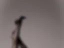 sexy photo