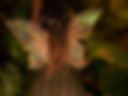 THE WET PUSSY OF THIS SEXY FAIRY