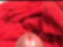 Penis and sperm
