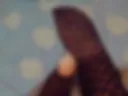 Feet