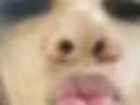 Kisssss