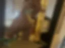 Ass