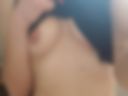 Boobies