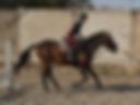 Equestrian sports
