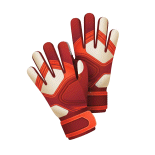 Goalkeeper Gloves