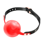 BDSM Gag