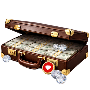 Briefcase with Money