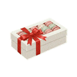 Macaron Box