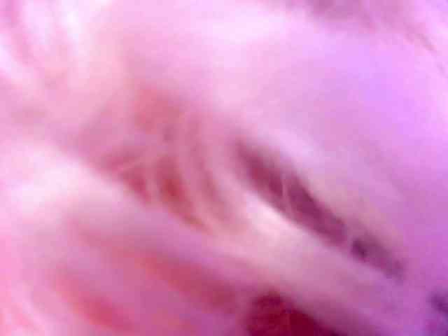 Lexax_