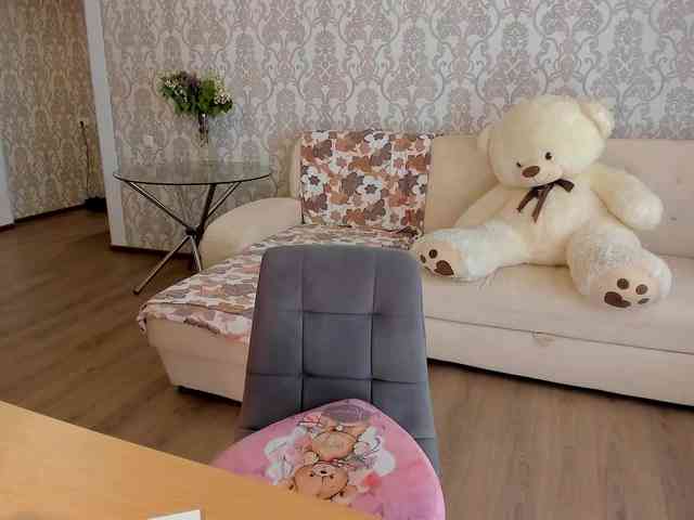 Alinn1 webcam