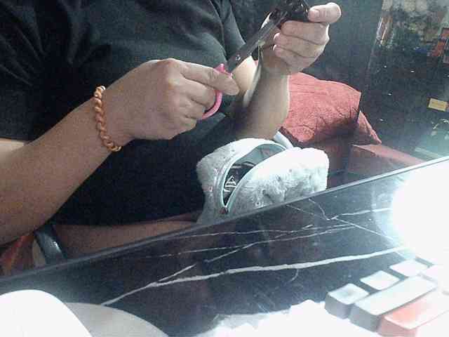 TheMistress