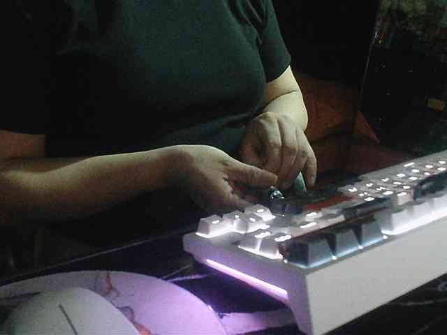 TheMistress