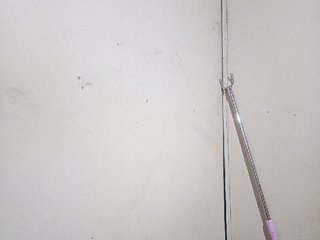 AsianBella Porn Show
