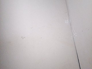 AsianBella Porn Show