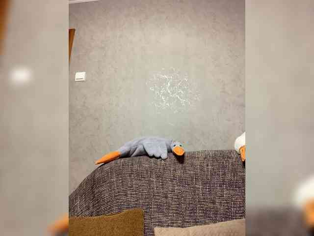 Ale4kaxx webcam