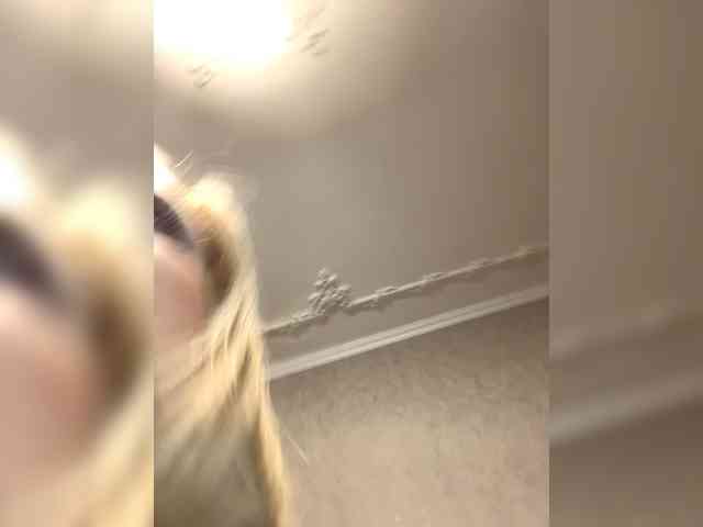 Ale4kaxx webcam