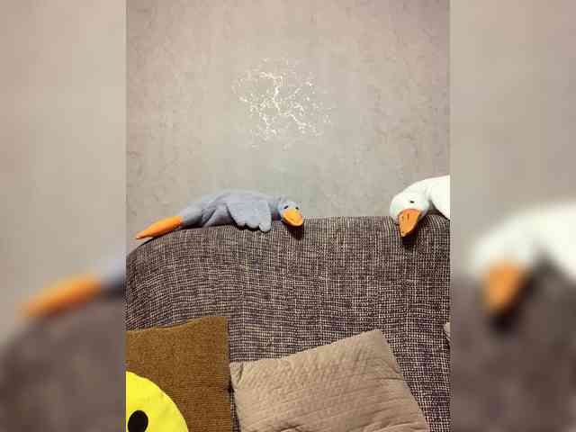 Ale4kaxx webcam