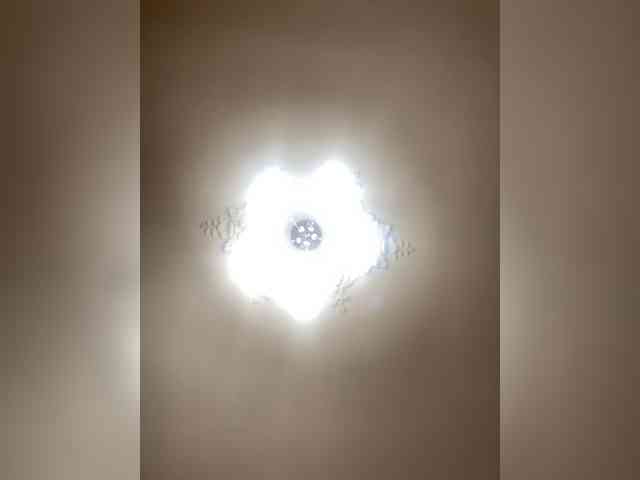 Ale4kaxx webcam
