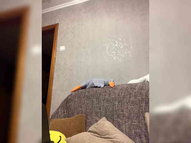 alya555