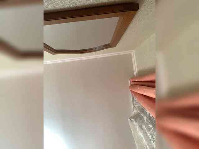 alya555
