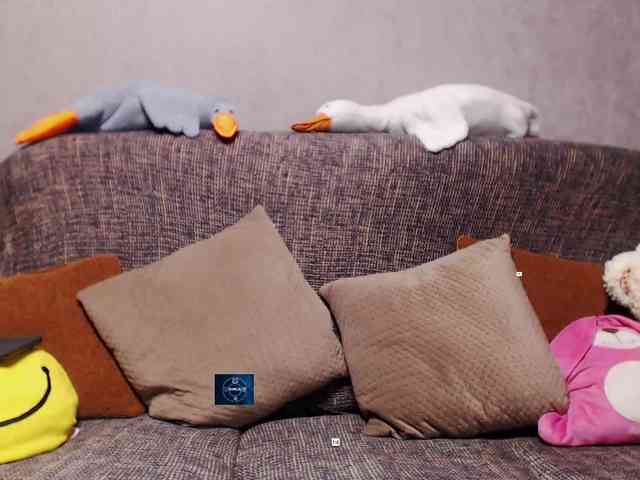 Ale4kaxx webcam