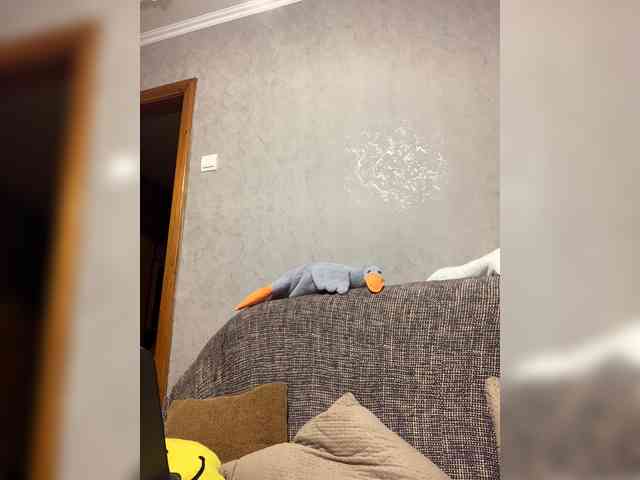 alya555 alya555