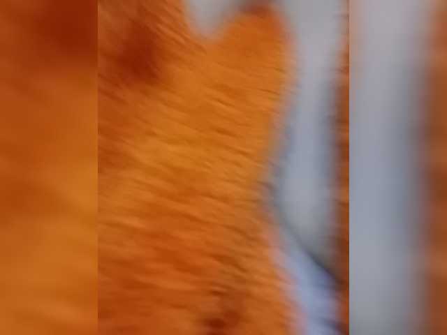 KlientVsegdaPrav