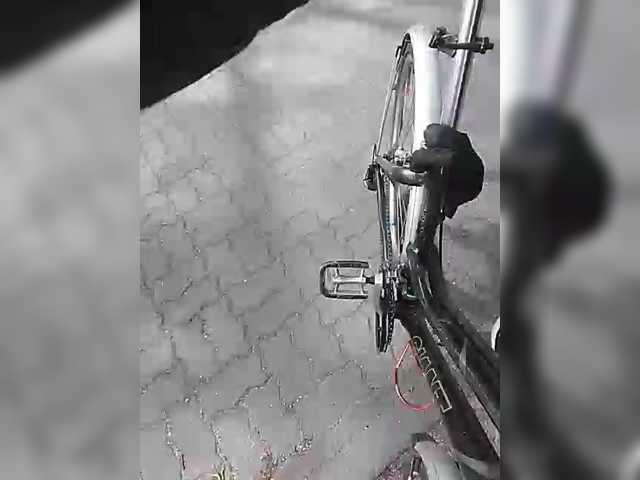 Preview of klientvsegdaprav