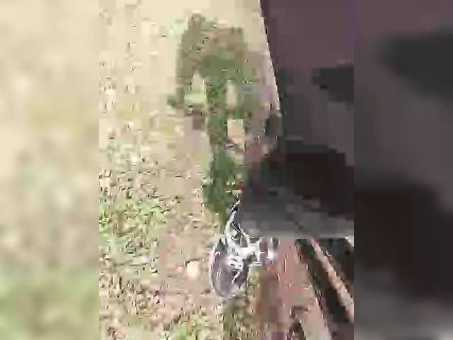 Preview of klientvsegdaprav