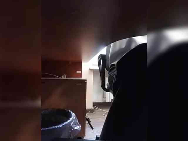 KlientVsegdaPrav webcam