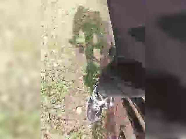 KlientVsegdaPrav webcam